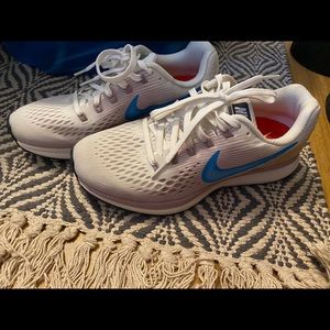 Nike Zoom Pegasus 34